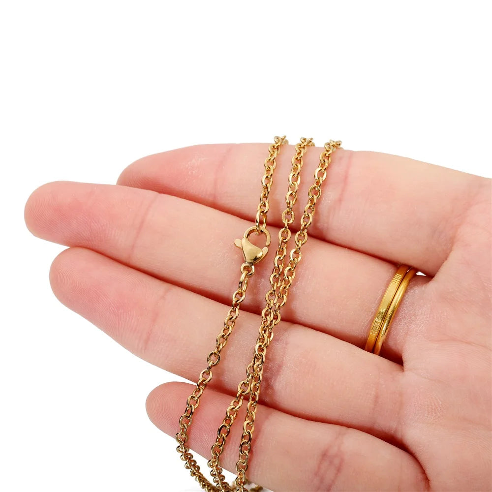 Lobster Clasp Sets Stainless Steel with Jump Rings DIY Jewelry Making