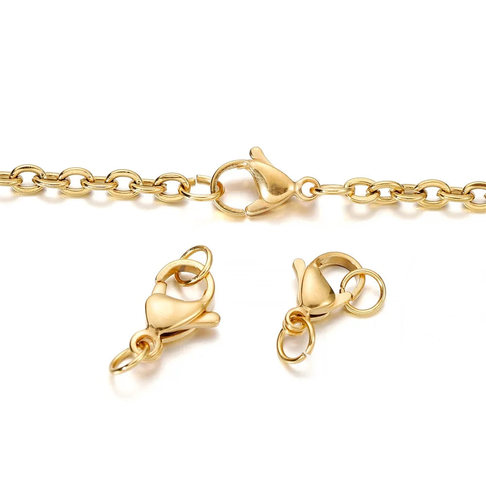 Lobster Clasp Sets Stainless Steel with Jump Rings DIY Jewelry Making