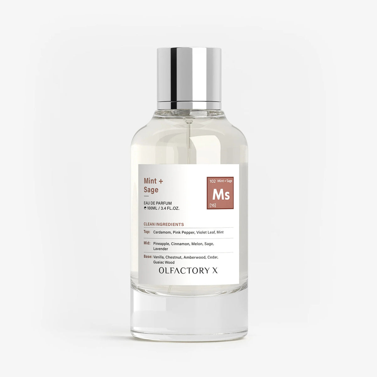Olfactory X Mint + Sage 3.4 Eau De Parfum Spray