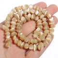 Shell Beads Irregular Graval Dyed Mother of Pearl Bracelet Bracelet Supplies