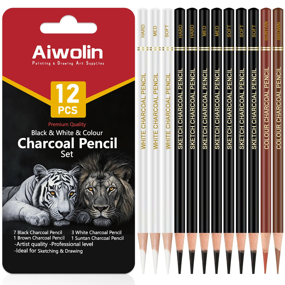 Charcoal Pencil Drawing Set — 10 to 20 Pieces, Black & White, S/M/H Grades