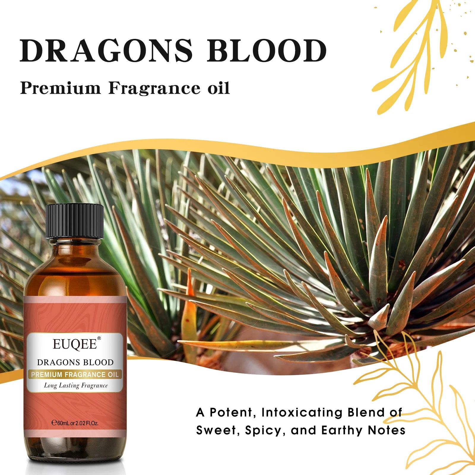 EUQEE 60ml Men's Fragrance Oils with Glass Dropper Leather Dragons Blood Forest Pine Chocolate Aroma Oils For Car Diffusion