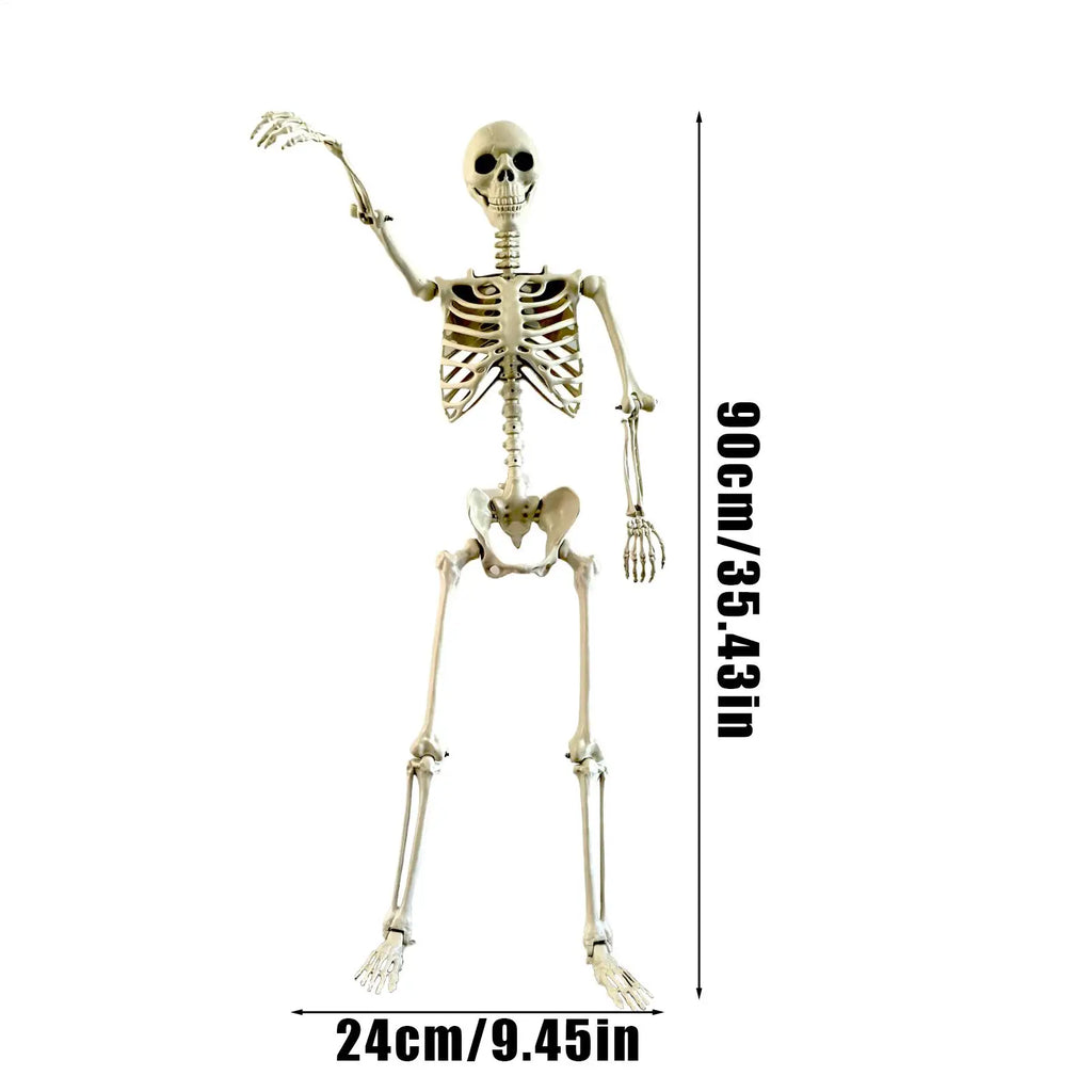 Halloween Posable Full-Body Skeleton, 35.4 in (90cm), ABS Plastic
