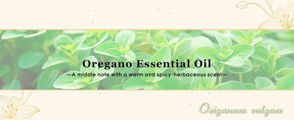 EUQEE 10ml Oregano Vetiver Essential Oil For Humidifier Candle Making Myrrh Ginger Helichrysum Lemon  Rose Eucalyptus Aroma Oils