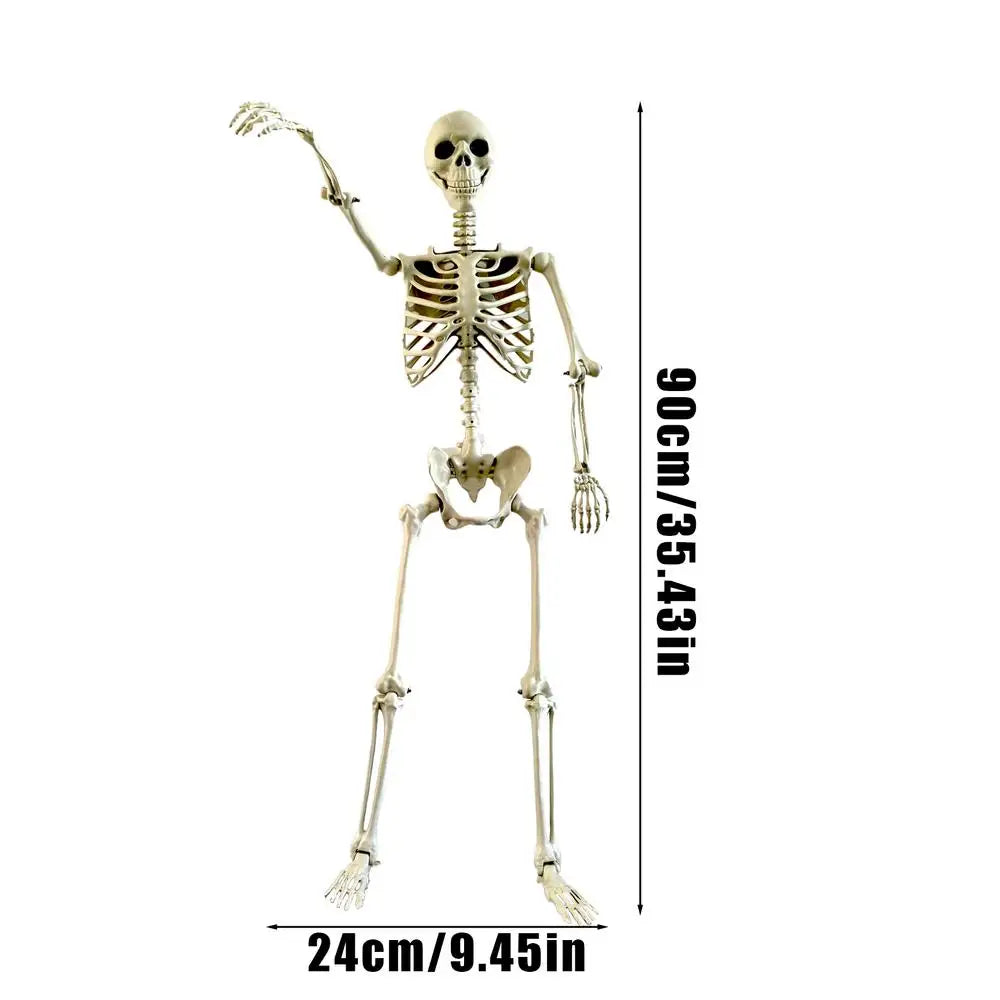 Halloween Posable Full-Body Skeleton, 35.4 in (90cm), ABS Plastic