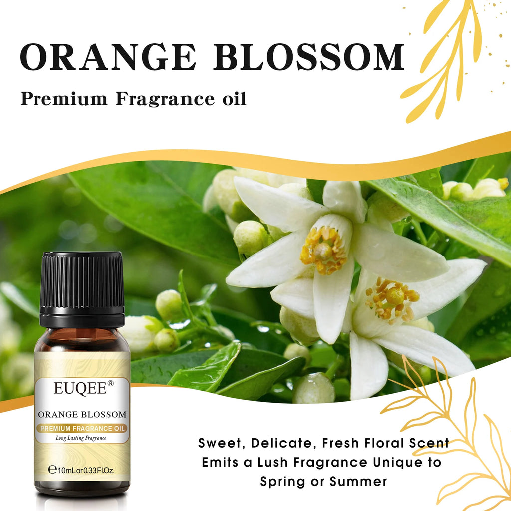 EUQEE 10ML Floral Series Fragrance Oil For Aromatherapy,Making Candle,Coconut & Vanilla Japanese Magnolia Pumpkin Pie Aroma Oils