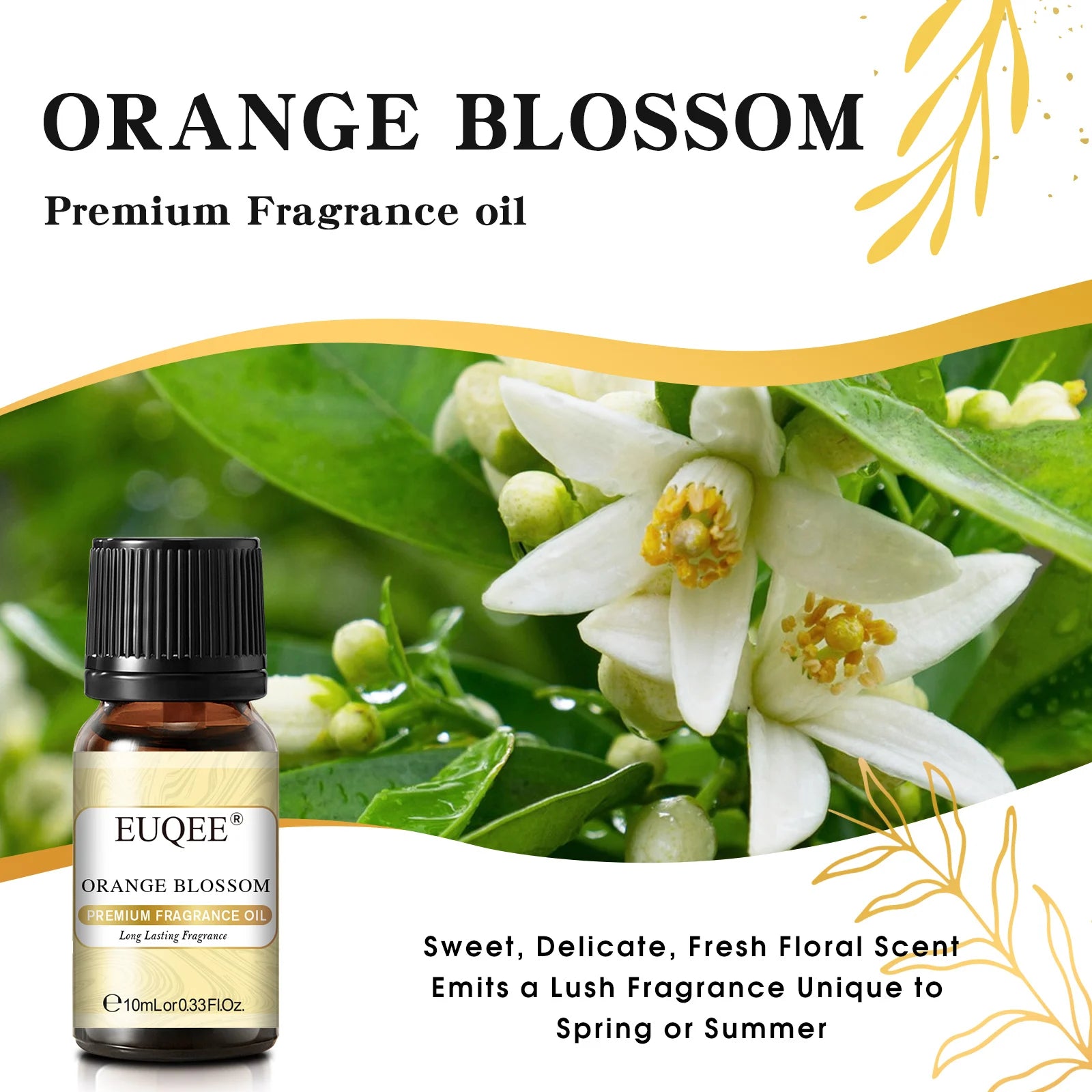 EUQEE 10ML Floral Series Fragrance Oil For Aromatherapy,Making Candle,Coconut & Vanilla Japanese Magnolia Pumpkin Pie Aroma Oils