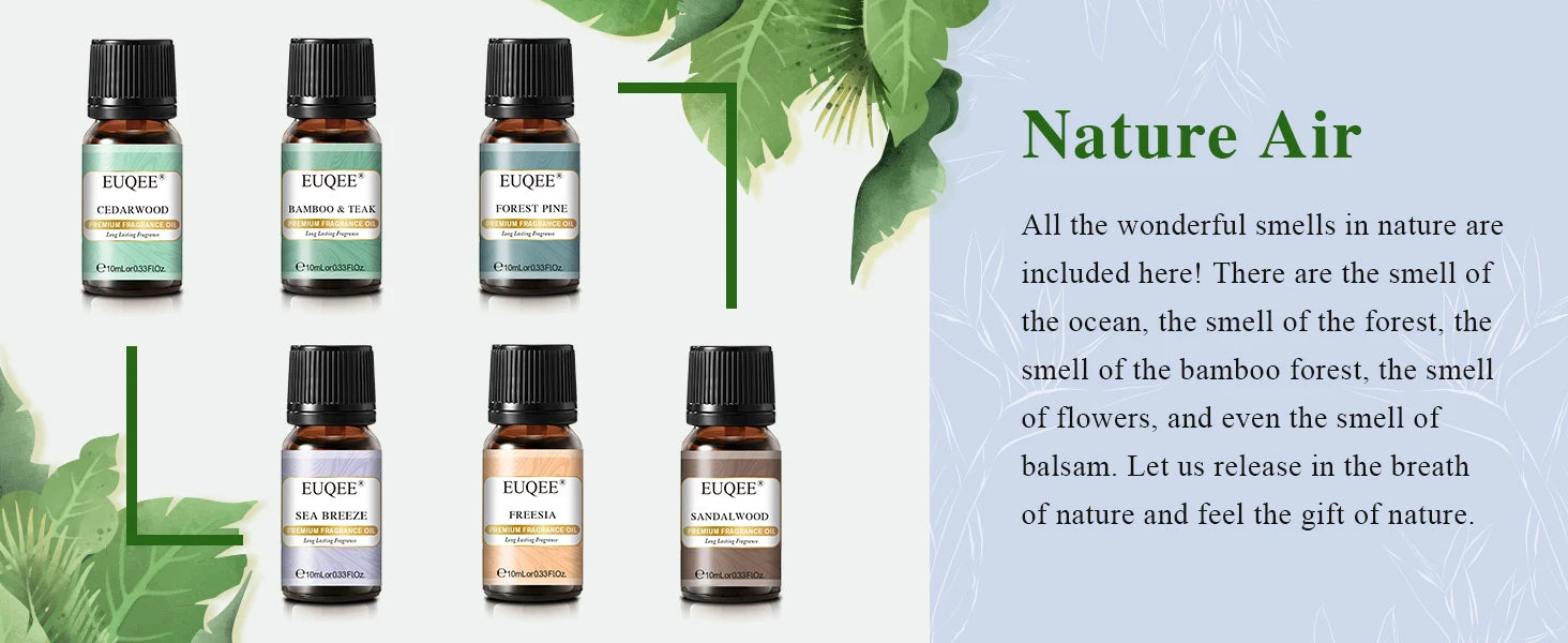 EUQEE 6PCS Fragrance Oils Gift Set For Candle Making 10ml Sea Breeze Forest Pine Bamboo & Teak Cedarwood Sandalwood Freesia