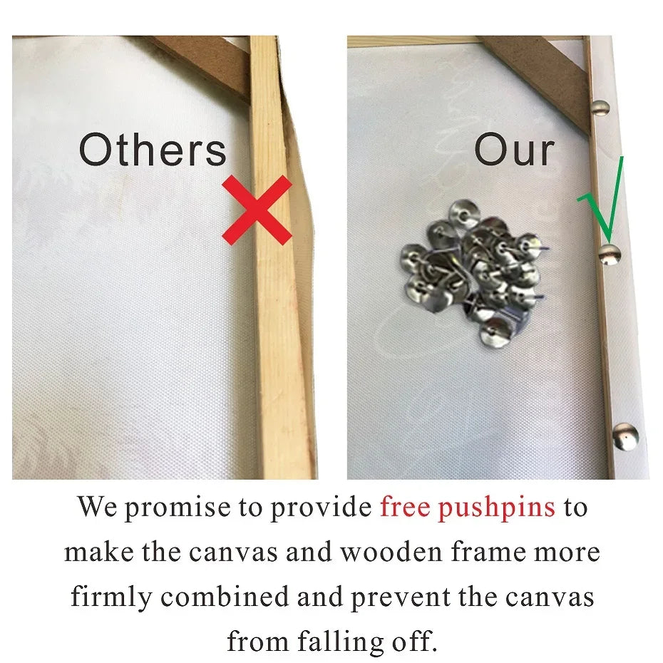 Comparison of pushpins used with a canvas and wooden frame, with text about free pushpins.
