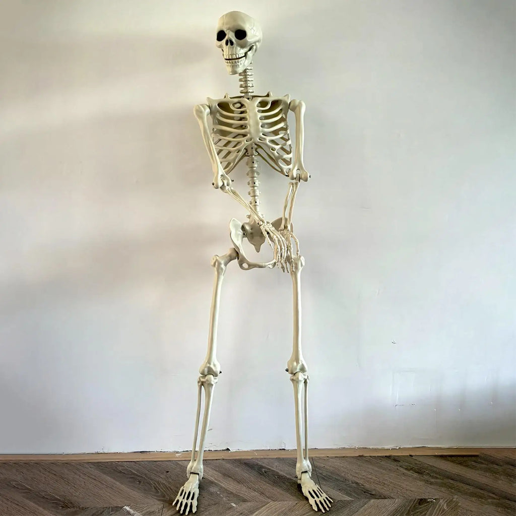 Halloween Posable Full-Body Skeleton, 35.4 in (90cm), ABS Plastic