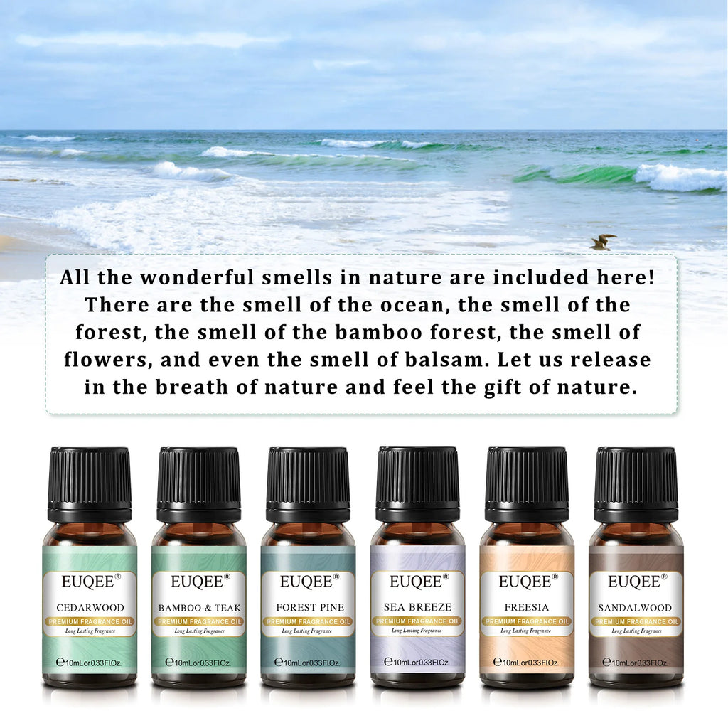 EUQEE 6PCS Fragrance Oils Gift Set For Candle Making 10ml Sea Breeze Forest Pine Bamboo & Teak Cedarwood Sandalwood Freesia
