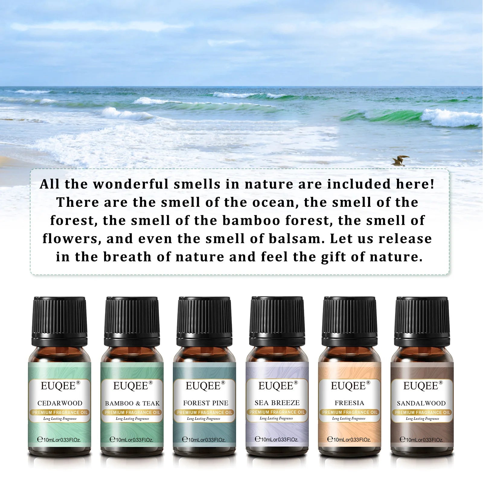 EUQEE 6PCS Fragrance Oils Gift Set For Candle Making 10ml Sea Breeze Forest Pine Bamboo & Teak Cedarwood Sandalwood Freesia