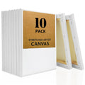 Stretched Artist Canvas 10-Pack Triple Primed Cotton Oil Acrylic Watercolor