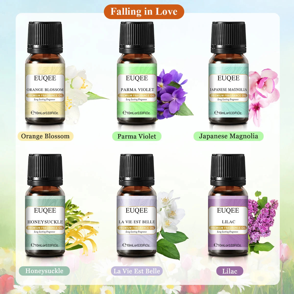 EUQEE Fragrance Oil Gift Set 6x10ml 10 Themed Collections DIY Candle Diffuser