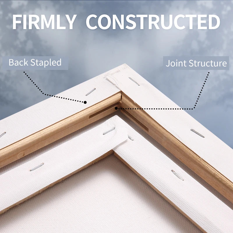 Marie's Stretched Canvas 3-Pack 100% Cotton Primed Rectangle and Round