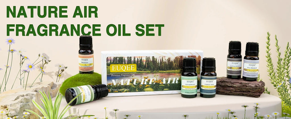 EUQEE 6PCS Fragrance Oils Gift Set For Candle Making 10ml Sea Breeze Forest Pine Bamboo & Teak Cedarwood Sandalwood Freesia