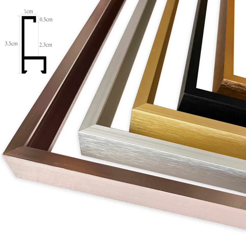 Aluminum Alloy Outer Canvas Frame 7 Colors 8 Sizes Gallery Wall Art Display