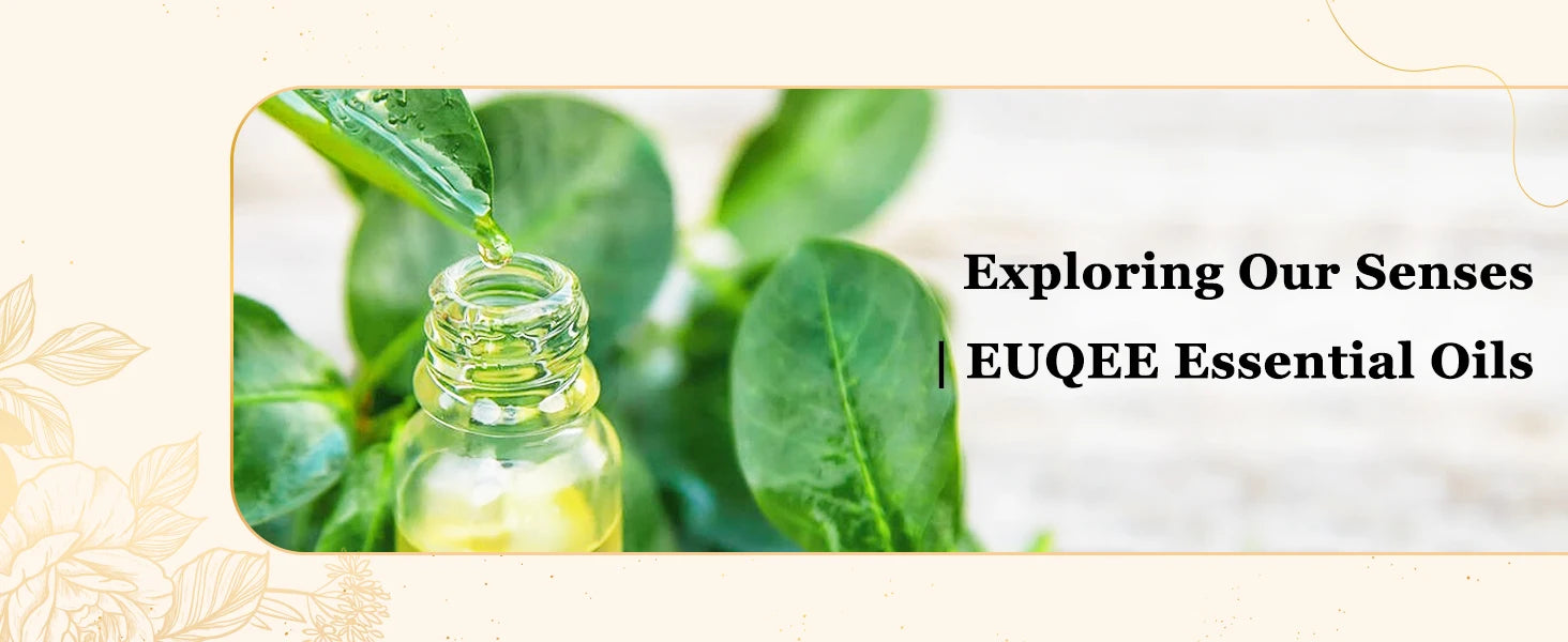EUQEE 10ML Palo Santo Natural Essential Oil With Glass Dropper Oregano Cardamom Marjoram Fennel Lemon Eucalyptus Aroma Oils