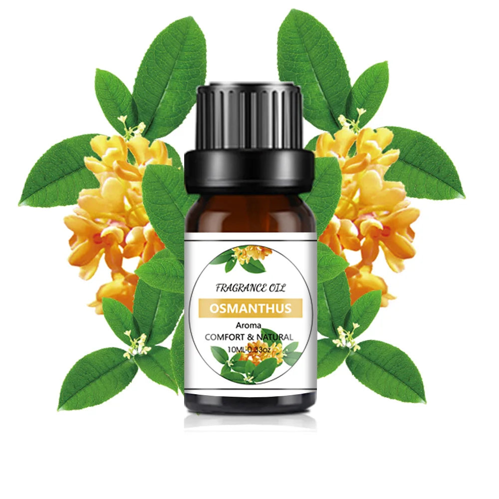 Fragrance Oil 10ml 33 Scents DIY Candle Soap Aromatherapy Diffuser 0.33oz
