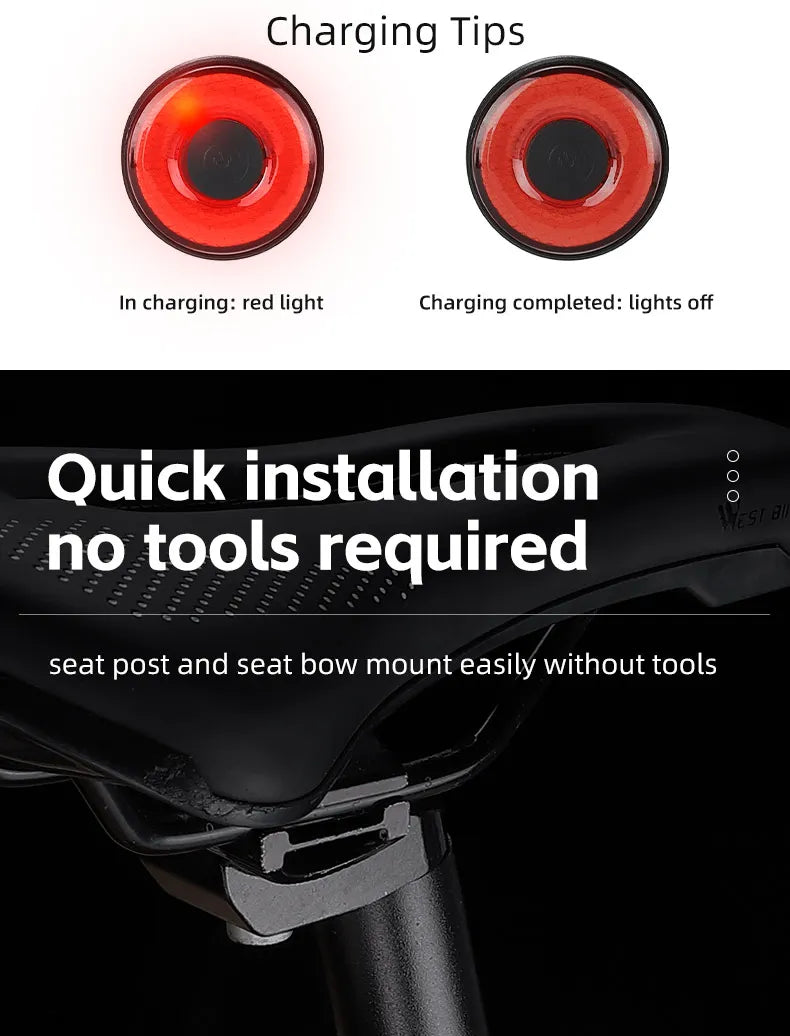 WEST BIKING Bike Tail Light Premium Quality Replacement Accessory