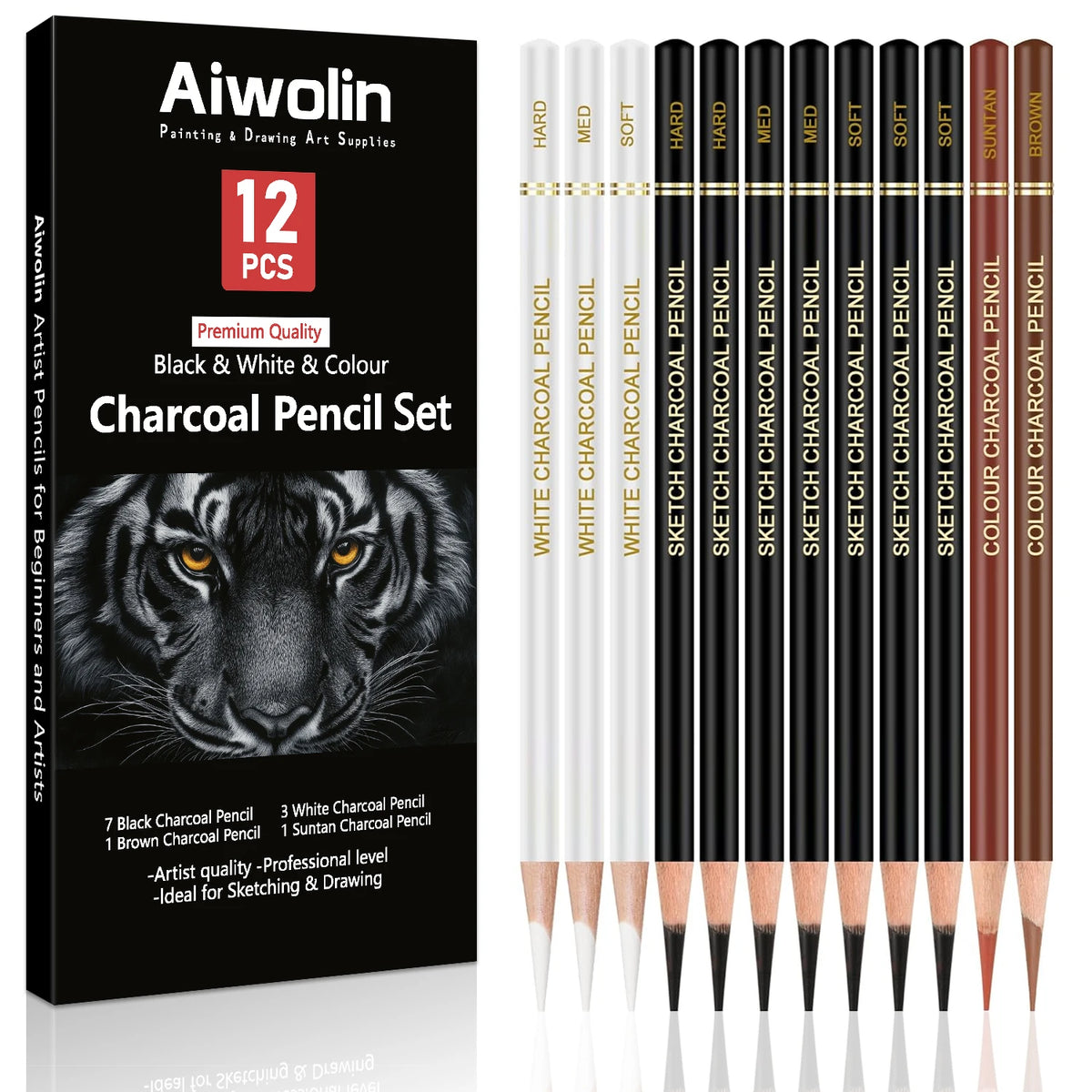 Charcoal Pencil Drawing Set — 10 to 20 Pieces, Black & White, S/M/H Grades