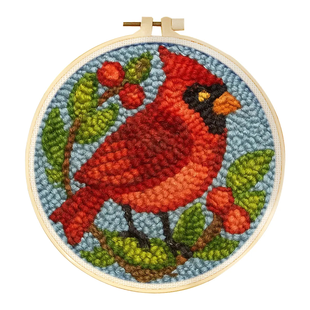 Punch Needle Kit, Hummingbird Love Design for Handmade Wall Decor & Gifts