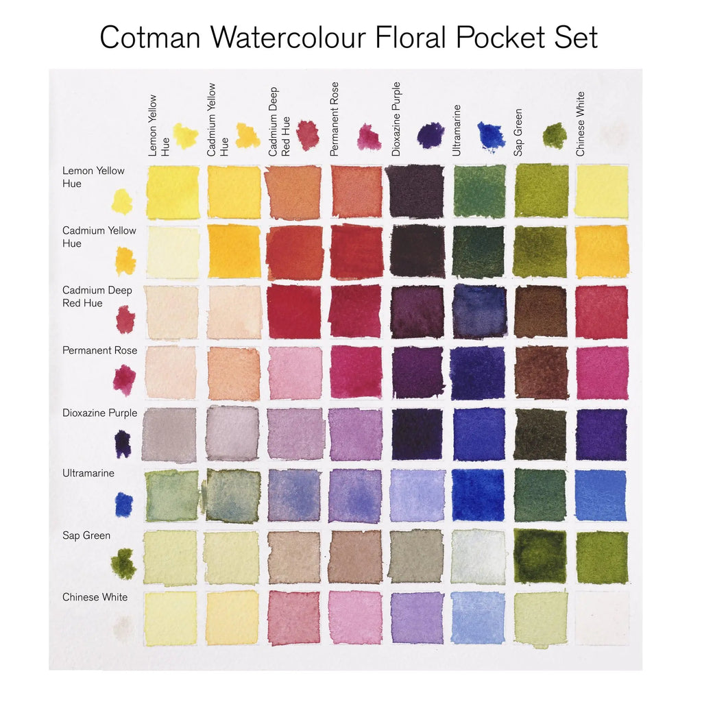 Winsor & Newton Cotman Watercolor Paint Set — Half Pan & Tube Sets