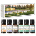 EUQEE 6PCS Fragrance Oils Gift Set For Candle Making 10ml Sea Breeze Forest Pine Bamboo & Teak Cedarwood Sandalwood Freesia