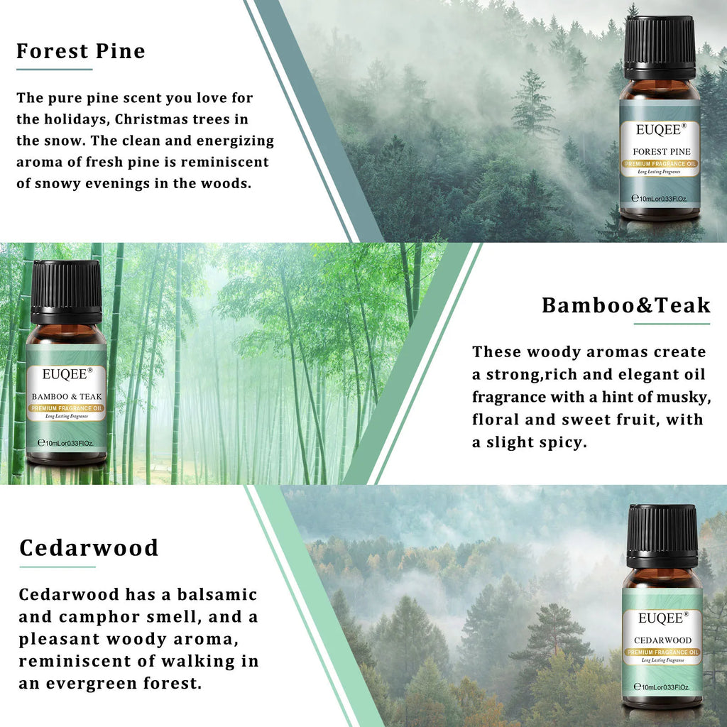 EUQEE 6PCS Fragrance Oils Gift Set For Candle Making 10ml Sea Breeze Forest Pine Bamboo & Teak Cedarwood Sandalwood Freesia