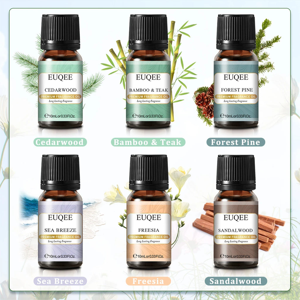 EUQEE 6PCS Fragrance Oils Gift Set For Candle Making 10ml Sea Breeze Forest Pine Bamboo & Teak Cedarwood Sandalwood Freesia